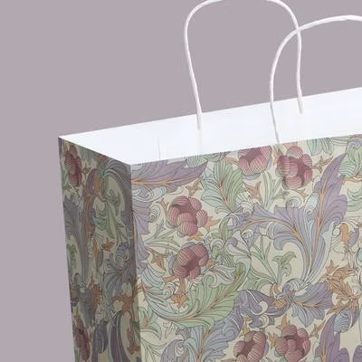 Embalagem de compras de varejo biodegradável reciclada, embalagem personalizada de fast food para levar roupas, saco de papel kraft